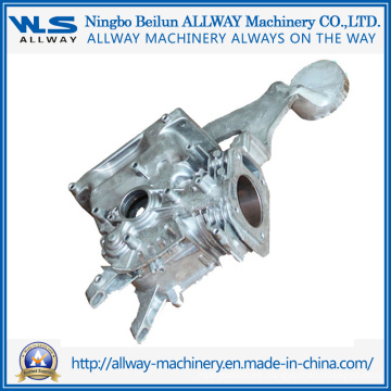 Matriz de fundición a presión Die Sw001 168 Carcasa / fundición de motor de gasolina